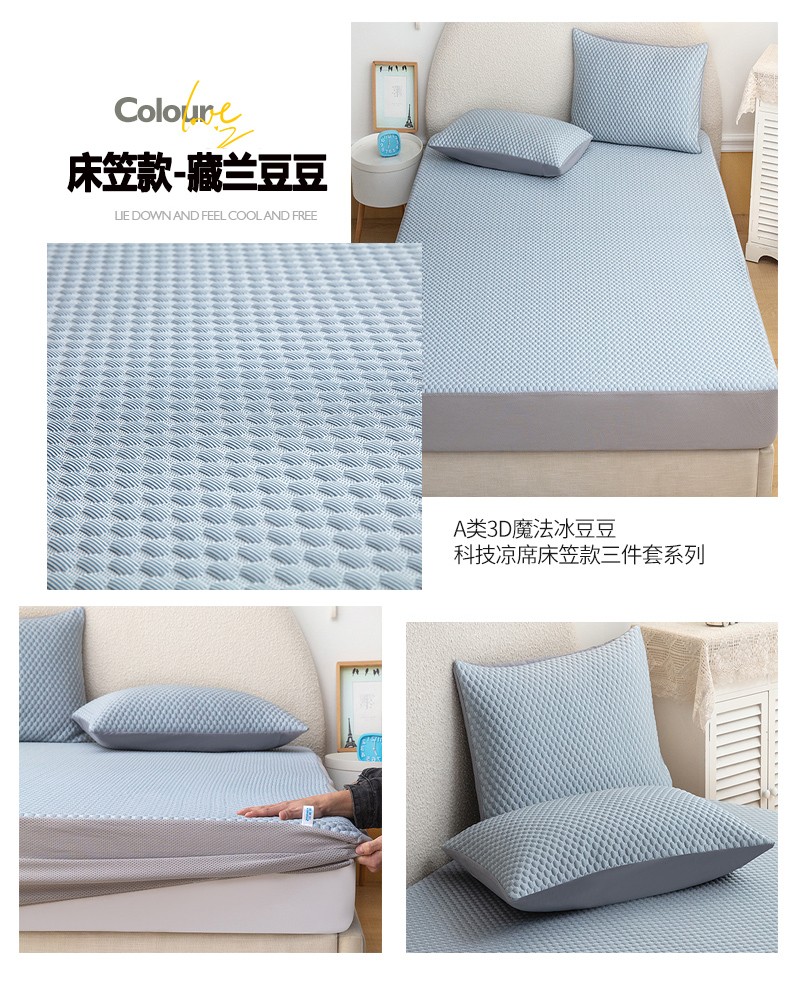 image1678172216177672.jpg 藏兰豆豆.jpg