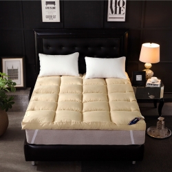 羽丝绒床垫原图800懒人