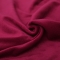 91家纺网 家纺一手货源 找家纺 芈月 2019水晶绒乳胶枕套一只 胭脂红