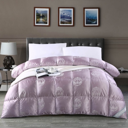 91家纺网 家纺一手货源 找家纺 （总）绒研羽绒 2025爆款卡斯羽绒被柔赛丝提花被