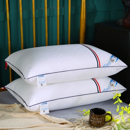 91家纺网 家纺一手货源 找家纺 浩宇家纺 新款羽丝绒枕芯立体枕头 单边白