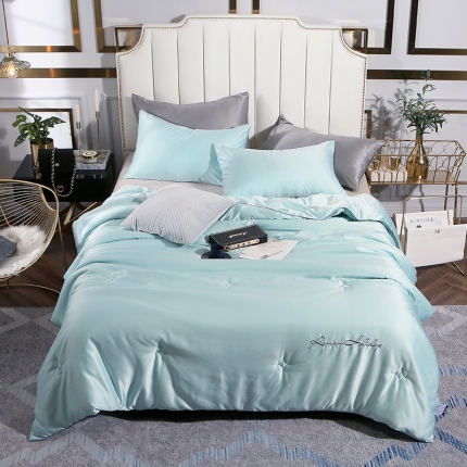 91家纺网 家纺一手货源 找家纺 （总）头等舱 2019水洗真丝星耀绣花大豆夏被