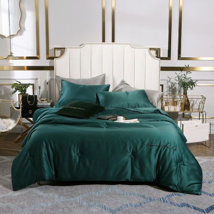 91家纺网 家纺一手货源 找家纺 （总）头等舱 2019水洗真丝星耀绣花大豆夏被