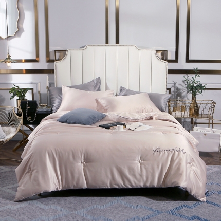 91家纺网 家纺一手货源 找家纺 头等舱 2019水洗真丝星耀绣花大豆夏被 香槟色