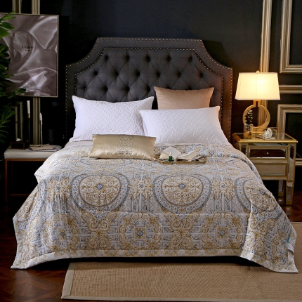 91家纺网 家纺一手货源 找家纺 （总）头等舱 2019尊贵60兰天精天丝夏被