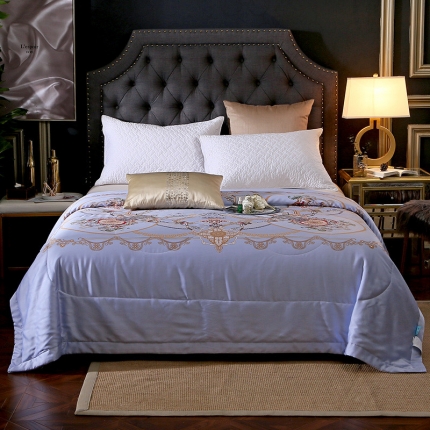 91家纺网 家纺一手货源 找家纺 （总）头等舱 2019尊贵60兰天精天丝夏被