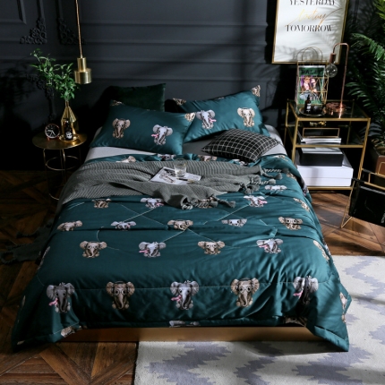 91家纺网 家纺一手货源 找家纺 （总）头等舱 2019新款60长绒棉印花夏被