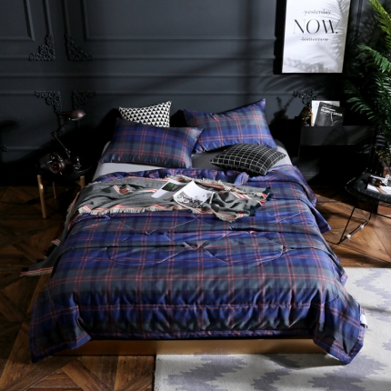 91家纺网 家纺一手货源 找家纺 头等舱 2019新款60长绒棉印花夏被 品尚格韵