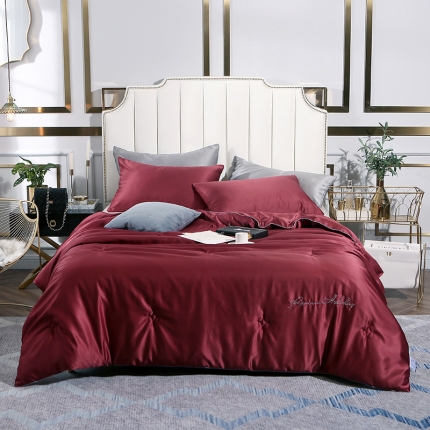 头等舱 2019水洗真丝星耀绣花大豆夏被 玫瑰红