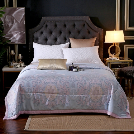 头等舱 2019尊贵60兰天精天丝夏被 利兹足迹