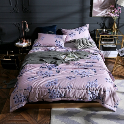 头等舱 2019新款60长绒棉印花夏被 兰香