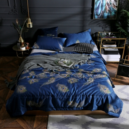 头等舱 2019新款60长绒棉印花夏被 雀之舞