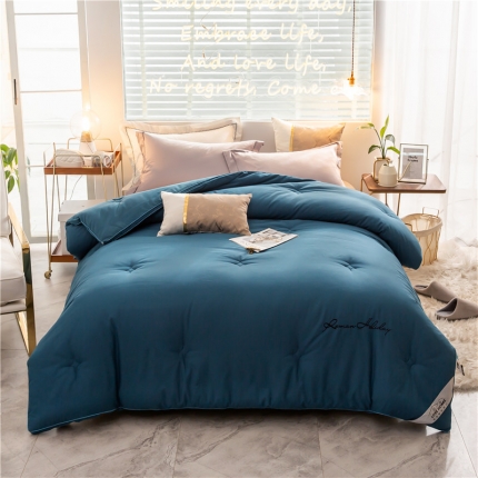 91家纺网 家纺一手货源 找家纺 头等舱 2019新款60全棉磨毛绣花冬被 依恋蓝