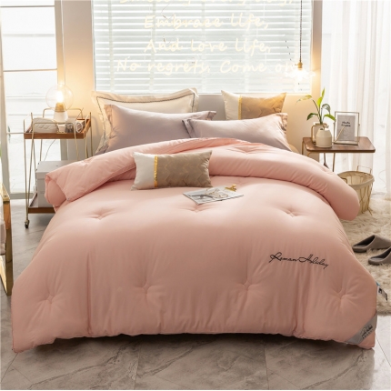 91家纺网 家纺一手货源 找家纺 （总）头等舱 2019新款60全棉磨毛绣花冬被