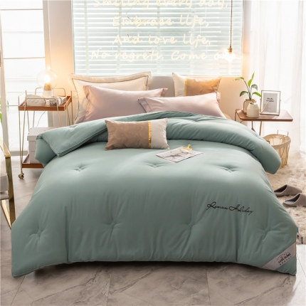头等舱 2019新款60全棉磨毛绣花冬被 依恋水绿