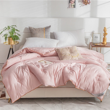 91家纺网 家纺一手货源 找家纺 头等舱 2019蚕蛹蛋白提花冬被 豆沙粉