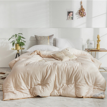 91家纺网 家纺一手货源 找家纺 （总）头等舱 2019蚕蛹蛋白提花冬被