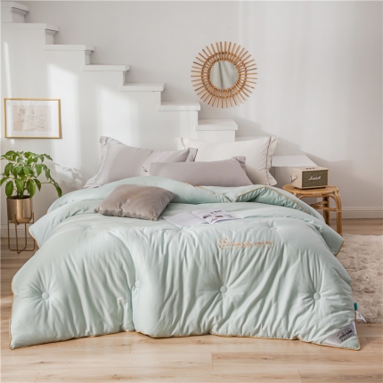 91家纺网 家纺一手货源 找家纺 （总）头等舱 2019天丝棉纯色绣花冬被