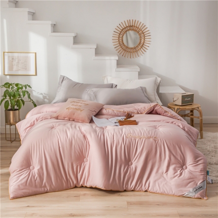 91家纺网 家纺一手货源 找家纺 （总）头等舱 2019天丝棉纯色绣花冬被