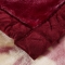 91家纺网 家纺一手货源 找家纺 法莱妮2023新款拉舍尔毛毯学生毯双层加厚毛毯冬季 百年好合