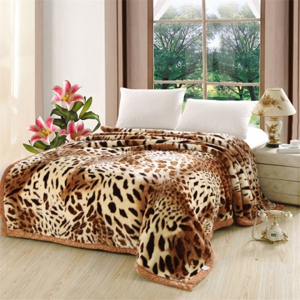 法莱妮2023新款拉舍尔毛毯学生毯双层加厚毛毯冬季 经典豹纹