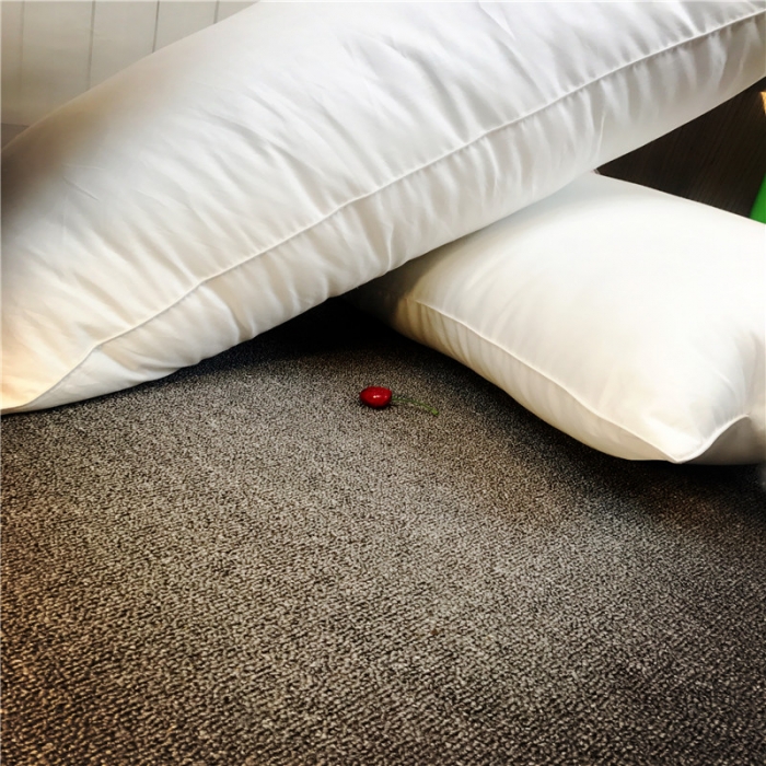 91家纺网 家纺一手货源 找家纺 伟邦枕芯芯家纺 羽丝绒枕芯 全棉宾馆枕芯