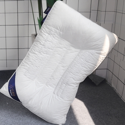 91家纺网 家纺一手货源 找家纺 伟邦枕芯芯 石墨烯决明子枕芯48*74 白色