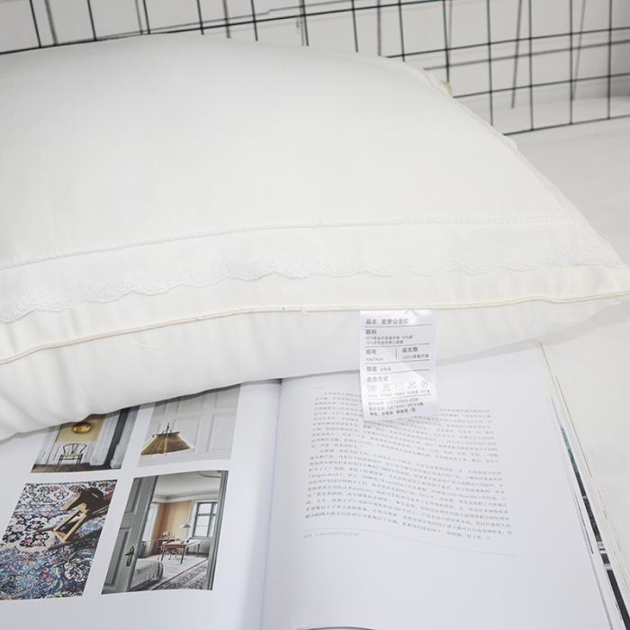 91家纺网 家纺一手货源 找家纺 伟邦枕芯芯 牛奶丝羽丝绒枕芯48*74 白色