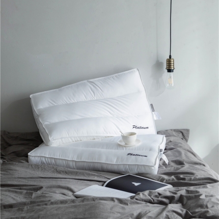 （总）时年家纺 80贡缎养生枕芯48*74cm