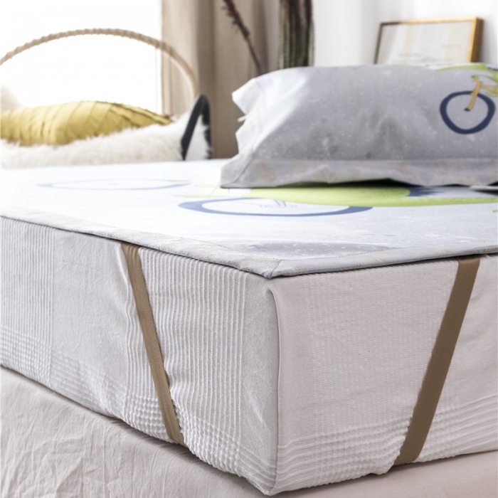 91家纺网 家纺一手货源 找家纺 时年家纺 2019新款凉席冰丝席冰露丝印花款 单车恐龙