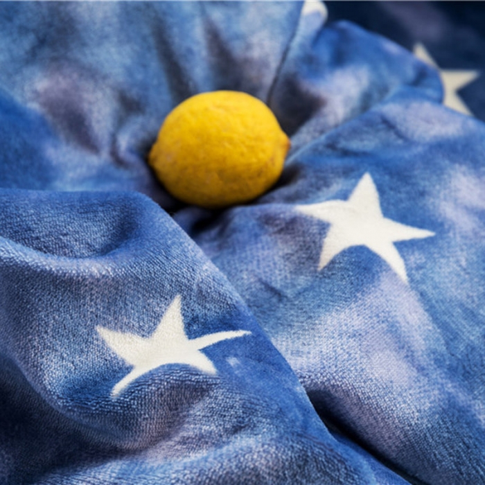 91家纺网 家纺一手货源 找家纺 时年 2019牛奶绒印花保暖四件套 星云