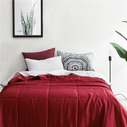 2018【DUOMEILY】 60S天丝素色薄被温莎红