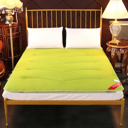 （总）垫尚纺3D网眼床垫榻榻米加厚透气床褥垫被可折叠双人绿色