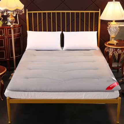 （总）垫尚纺3D网眼床垫榻榻米加厚透气床褥垫被可折叠双人灰色