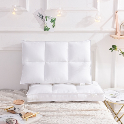 91家纺网 家纺一手货源 找家纺 瑞莉安枕芯（总）欧式刺绣 立体荞麦  云字护颈 魔方六宫格枕