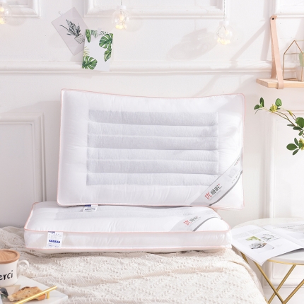 91家纺网 家纺一手货源 找家纺 瑞莉安枕芯（总）欧式刺绣 立体荞麦  云字护颈 魔方六宫格枕