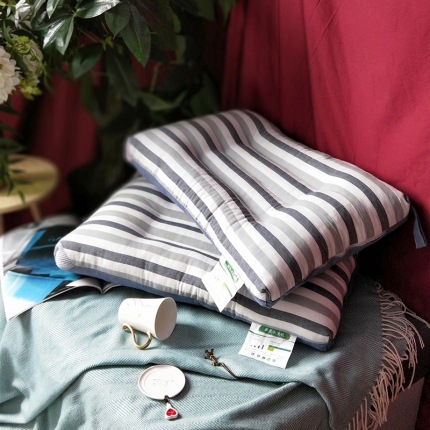 赛格时代家居 无印良品全棉水洗枕芯（蓝色）