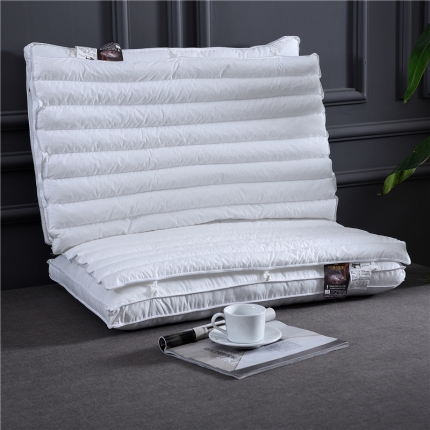 赛格时代家居  全棉PE软管复合保健枕芯