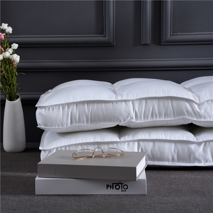 91家纺网 家纺一手货源 找家纺 赛格时代家居 全棉贡缎羽丝绒枕芯（六区定位）