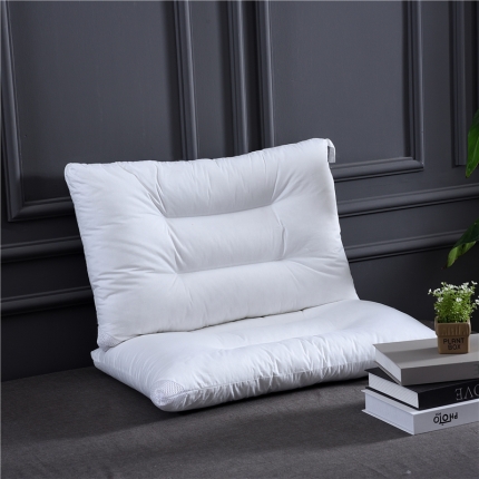 91家纺网 家纺一手货源 找家纺 赛格时代家居  全棉简约水洗定型羽丝绒枕芯