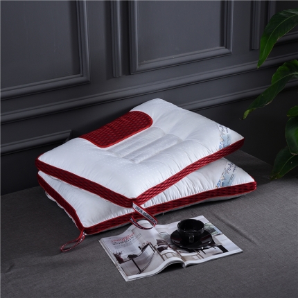 赛格时代家居 全棉决明子定型羽丝绒枕芯（红色）