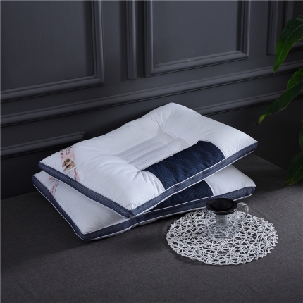 赛格时代家居 全棉决明子定型羽丝绒枕芯（蓝色）