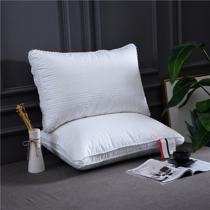 赛格时代家居 全棉立体天丝羽丝绒枕芯（白色）