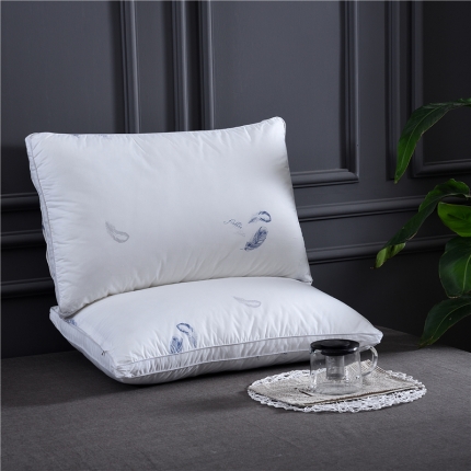 赛格时代家居 全棉立体羽丝绒枕芯（羽毛）