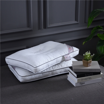 91家纺网 家纺一手货源 找家纺 （总） 赛格时代家居枕芯   全棉刺绣定型羽丝绒枕芯