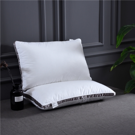 赛格时代家居枕芯 全棉立体羽丝绒枕芯（字母）