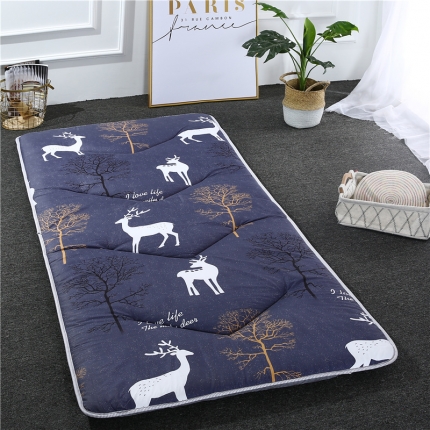 91家纺网 家纺一手货源 找家纺 爱喔家纺 2018新款加厚磨毛学生宿舍床垫