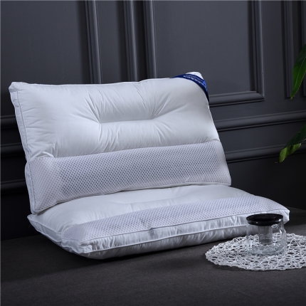 91家纺网 家纺一手货源 找家纺 （总）赛格时代家居   枕芯 全棉贡缎区位定型枕芯