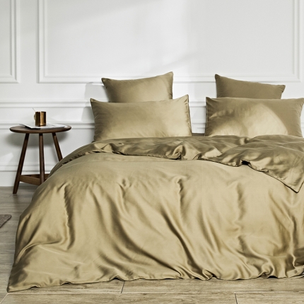 涞澳家纺 2018新款素色天丝四件套   艾草绿