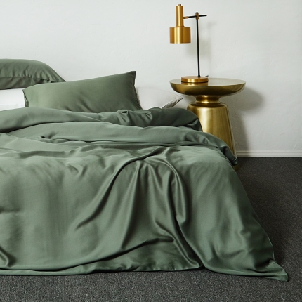 涞澳家纺 2018新款素色天丝四件套 松绿
